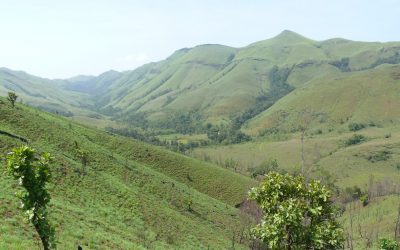 ಗುಂಡ್ಯಕ್ಕೆ ಗುಮ್ಮ ಬರುತಿದೆ, ಗಡಗಡೆನುತಿದೆ!