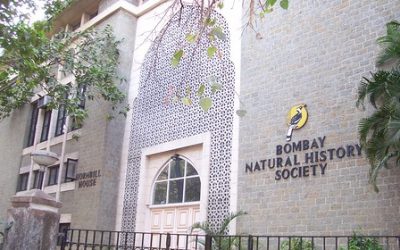 ಸಂಶೋಧನಾ ಪ್ರಜ್ಞೆ ಮತ್ತು ಪದವಿ