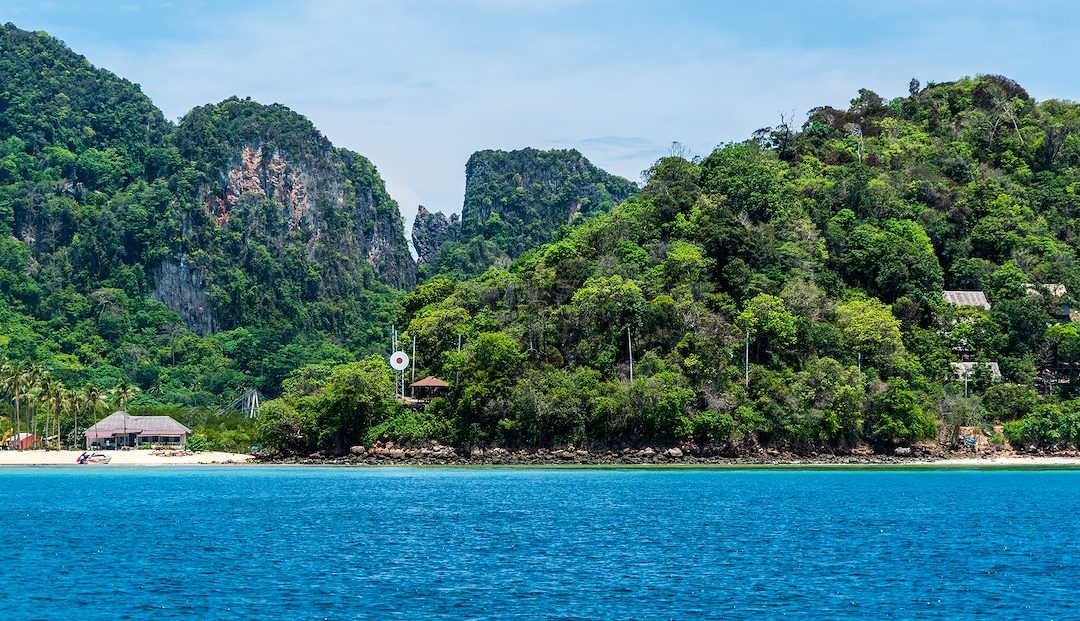ಶ್ವೇತಾಂಬರಿಯ ಸೆರಗಿನಲ್ಲಿ ಸೆಣಸಾಟ
