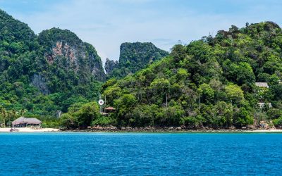 ಶ್ವೇತಾಂಬರಿಯ ಸೆರಗಿನಲ್ಲಿ ಸೆಣಸಾಟ