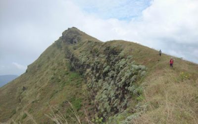 ನಿಲ್ಲಿ! ಗಡಿಬಿಡಿಯಲ್ಲಿ ಗಂಗಡಿಕಲ್ಲು