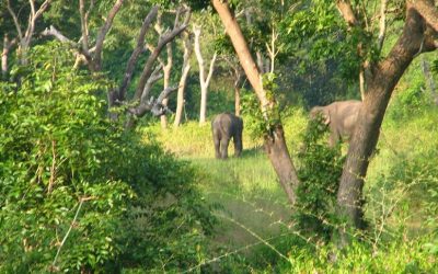ನಿರಾಶ್ರಿತರ ಶಿಬಿರ