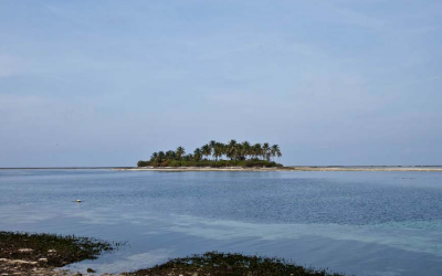 ಕಲ್ಪನೆಯಿಂದೆದ್ದ ಕಲ್ಪೆನಿ