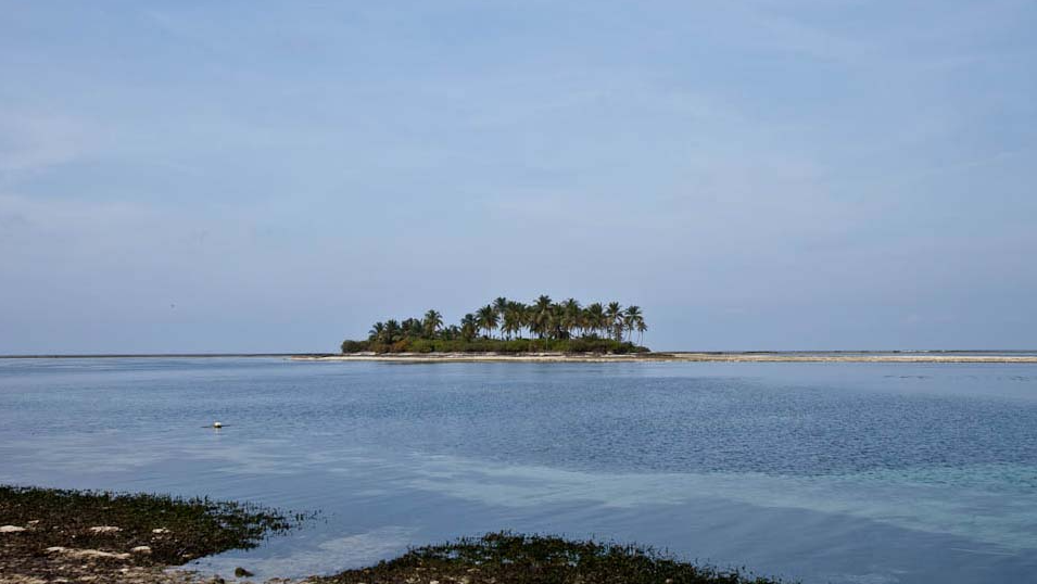 ಕಲ್ಪನೆಯಿಂದೆದ್ದ ಕಲ್ಪೆನಿ