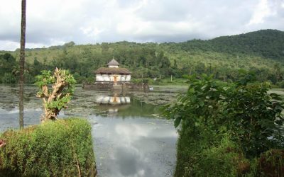 ದಾರಿ ತಪ್ಪಿದ ದಾರಿ