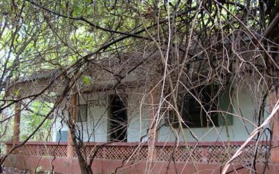 ಮಂಜು ನೆನಪುಗಳು