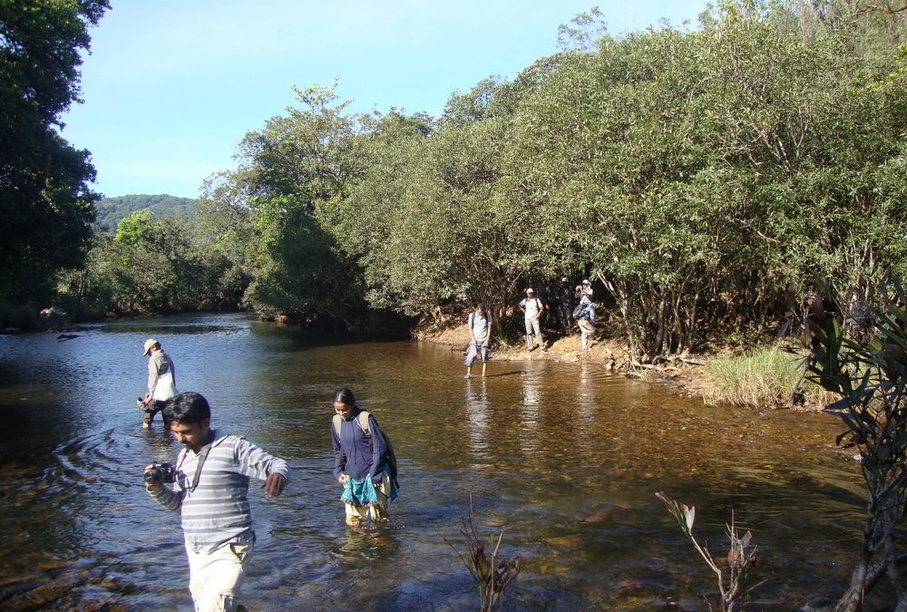 ಪದ್ಮಶ್ರೀ ಉಲ್ಲಾಸ ಕಾರಂತ