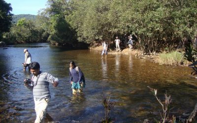 ಪದ್ಮಶ್ರೀ ಉಲ್ಲಾಸ ಕಾರಂತ