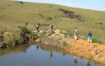 ಪಾಂಡರಮಕ್ಕಿ ಜಾಡಿನಲ್ಲಿ