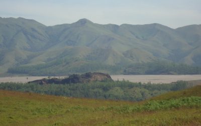 ಲಕ್ಯಾದಲ್ಲಿ ಮೃಗಜಲ!