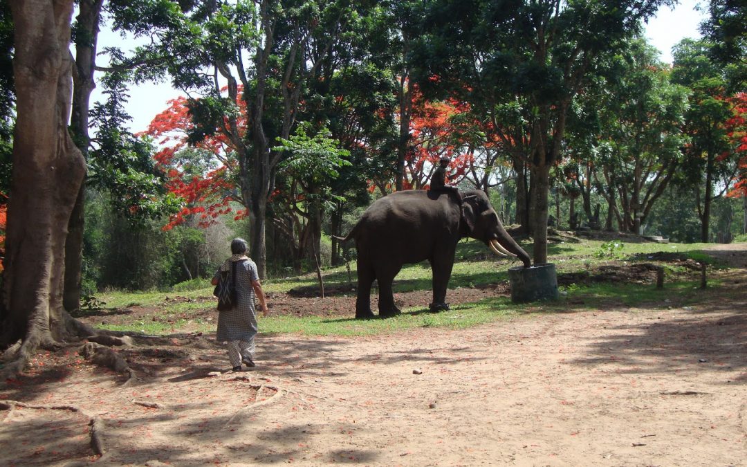 ಪರ್ವತಾರೋಹಿಗೆ ವನ್ಯ ದೀಕ್ಷೆ