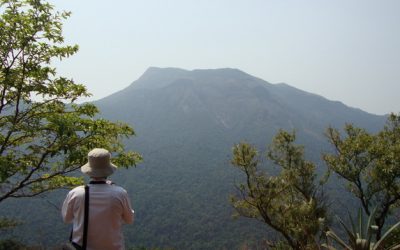 ಪುಷ್ಪಗಿರಿಯ ಮಗ್ಗುಲಿನಲ್ಲಿ