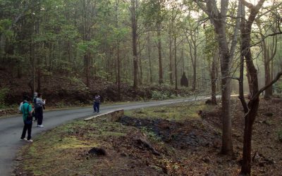 ಅಮಲಿನ ಗೋವಾ (ದೂದ್ ಸಾಗರ್ ಸರಣಿ – ಹನಿ ಎರಡು)