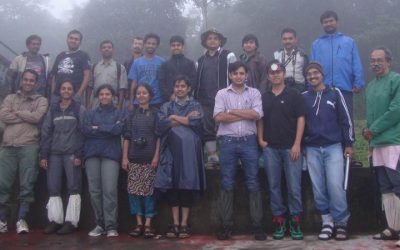 ಕಪ್ಪೆ ಕಮ್ಮಟ