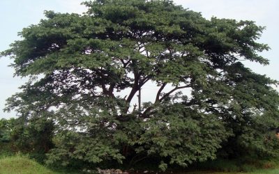 ಸವಾಲು ಎಸೆದಿದ್ದೇನೆ, ಜವಾಬ್ ಕೊಡೀ!