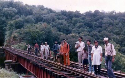 ಘಾಟಿ ಪಳಗಿಸಿದ ನೋಟ