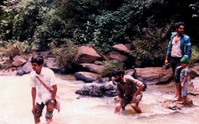 ಬರ್ಕತ್ತಿಲ್ಲದ ಹುಡುಕಾಟದಲ್ಲಿ ಅಬ್ಬಿಗಳು