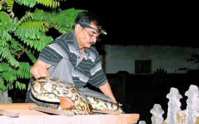 ಮಂಗಳೂರು ವೈಲ್ಡ್ ಲೈಫ್ ಟ್ರಸ್ಟ್