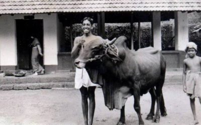 ಇಂದಿನ ಕಣ್ಣು ಅಂದಿನ ಮಣ್ಣು