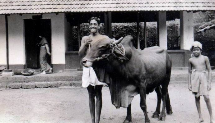 ಇಂದಿನ ಕಣ್ಣು ಅಂದಿನ ಮಣ್ಣು