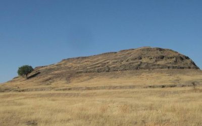 ಮರುಭೂಮಿಯಲ್ಲೊಂದು ಓಯಸಿಸ್!