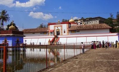 ಪಂಜರದ ಅರಗಿಳಿ