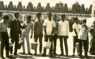 ತಡೆಬೇಲಿಯೊಳಗಿನ ಕೋಣ!