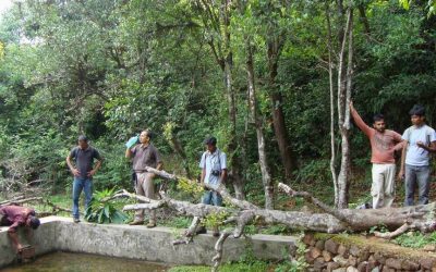ಎತ್ತಿನ ಹೊಳೆ ಮತ್ತು ಸಂಶೋಧನೆ