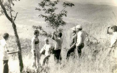 ಕಾಡಿದ ಹಿರಿಮರುದುಪ್ಪೆ