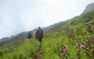 ಕುದುರೆ ಬಿಟ್ಟಿಳಿಯುವ ದುಃಖ