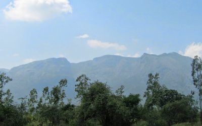 ಊಟಿಯಲ್ಲಿ ಮುಂದುವರಿದ ದೃಶ್ಯ ಲೂಟಿ!