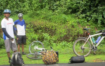 ಬಿಸಿಲೆ ಕಾಡಿನ ಕೊನೆಯ ದಿನಗಳು!