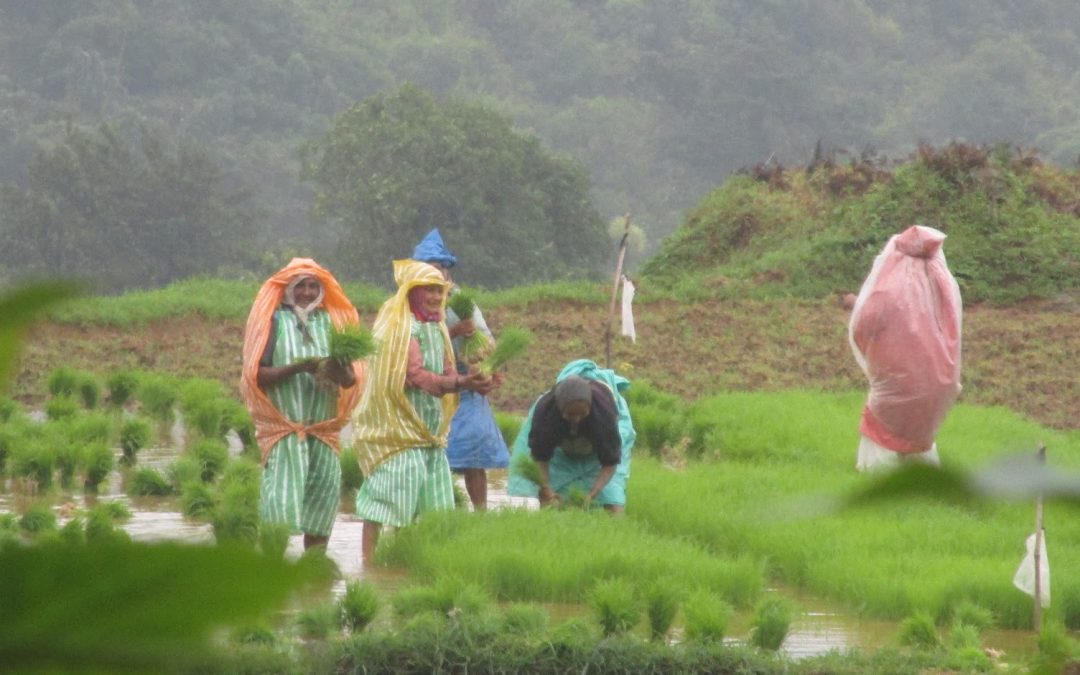 ಭಗ್ತಿ ಮಾರ್ಗ, ಭಕ್ತಿ ಮಾರ್ಗ!