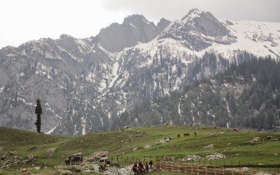 ಚಿನ್ನದ ದಾರಿಯಿಂದ ಮೊದಲಳ್ಳಿಗೆ