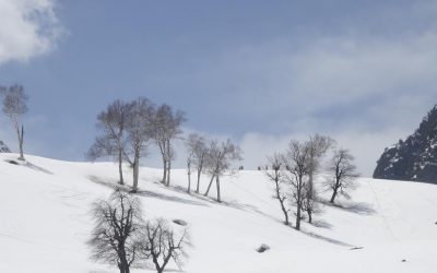 ಕರೆದೇ ಕರೆಯಿತು ಕಾಶ್ಮೀರ