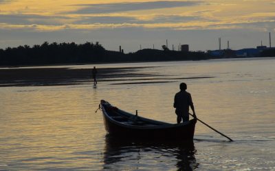 ಬದಲಾದ ಬಣ್ಣಗಳು
