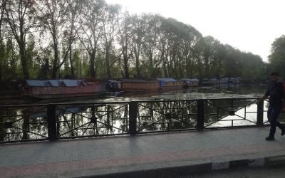 ಬದಲಾದ ಮಾರ್ಗ