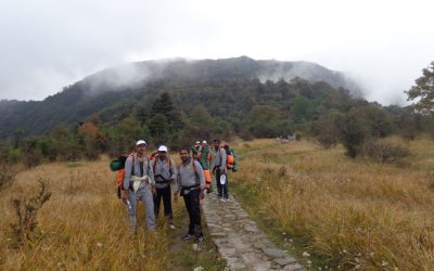 ಚಾರಣಿಗರ ಡಾರ್ಲಿಂಗ್ – ಡಾರ್ಜಿಲಿಂಗ್