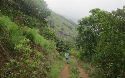 ದಟ್ಟಡವಿ, ಸಾಧಾರಣ ಮನೆ!