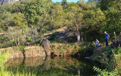 ಚಾರ್ಮಾಡಿಯಿಂದ ಶಿರಾಡಿಗೆ