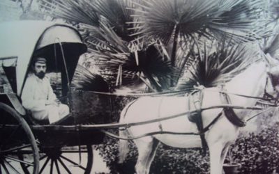 ಹರಿವುದೆನ್ನ ಮನವು ಹಿಂದೆ…..