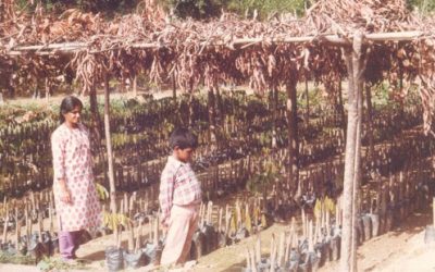 ದಿಕ್ಕೆಲ್ ಕಲ್ಲಿಗೆ ಲಗ್ಗೆ