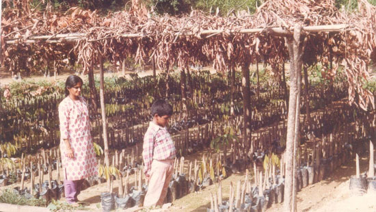 ದಿಕ್ಕೆಲ್ ಕಲ್ಲಿಗೆ ಲಗ್ಗೆ