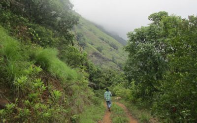 ಯಶಸ್ಸಿನ ಉತ್ತುಂಗದಲ್ಲಿ – ಪರ್ವತಾರೋಹಣ ಸಪ್ತಾಹ