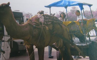 ಕೆರೆಯ ನೀರನು ಕೆರೆಗೆ ಚೆಲ್ಲಿ
