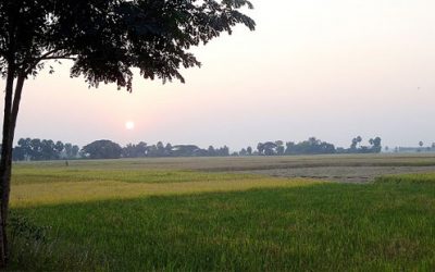 ಕುರುಮಾ