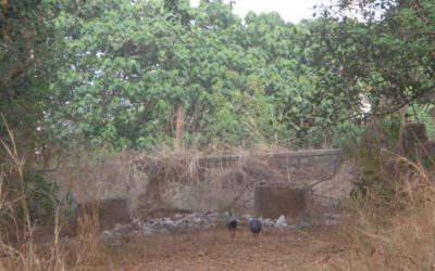 ಡೆಮಾಲಿಷ್ ಮಾಡಿ, ಹೊಸ್ತು ಕಟ್ಟಿ…