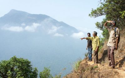 ವೈಲ್ಡ್ ಬೋರ್ ಕಾರಿಡಾರ್!!