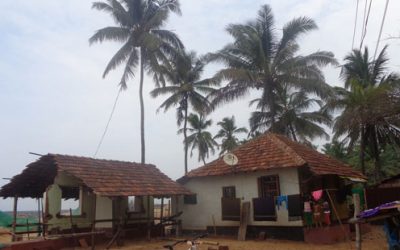 ಮೂಸೋಡೀ ರಕ್ಷಣೆ ?