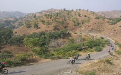 ಕಾಡಿಗೆ ಪೆಡಲಿ ಸಂಪೂರ್ಣಂ